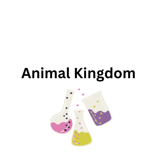 Animal Kingdom